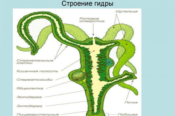 Магазин веществ кракен