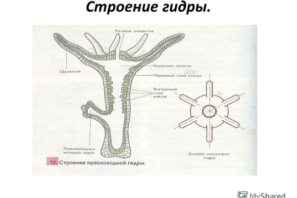 Кракен это современный даркнет маркет
