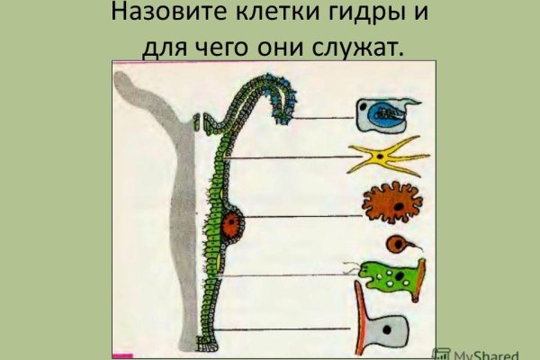 Kraken tor зеркало