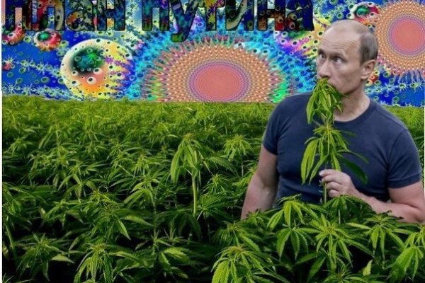 Кракен сайт 2krnk cc