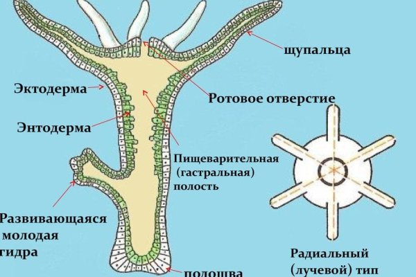 Не могу зайти в кракен