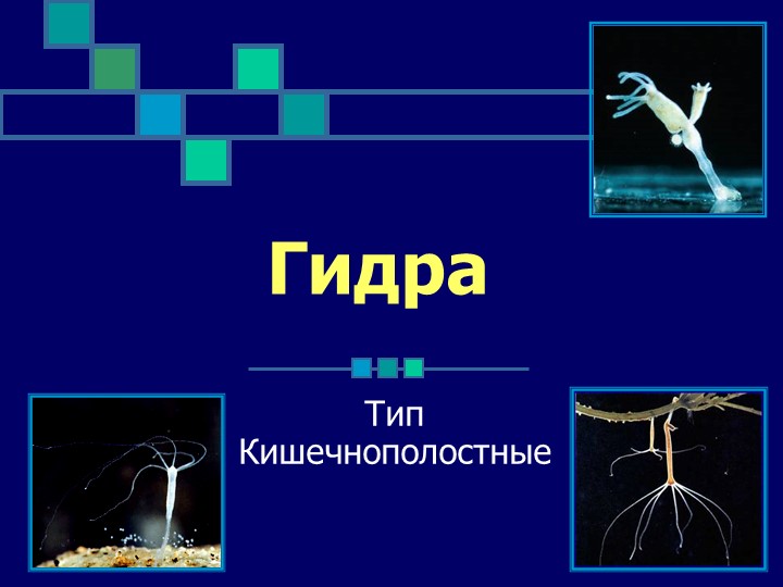 Действующие ссылки на кракен