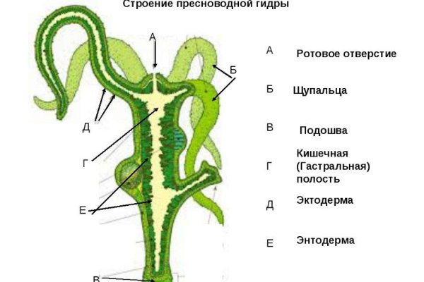 Kraken darknet ссылка тор