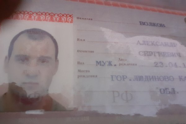 Сайты даркнета