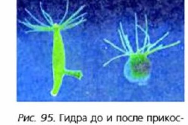 Кракен браузер ссылка